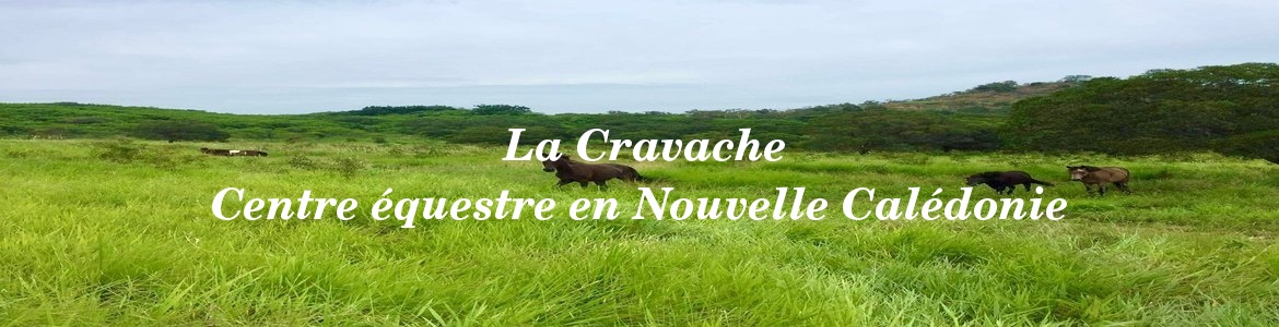  La Cravache